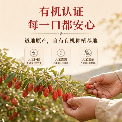 【宁夏医科大学联合研发 有机种植基地】营养食光·NFC低温冷榨有机枸杞原浆（30ml*10袋/盒） 商品图3