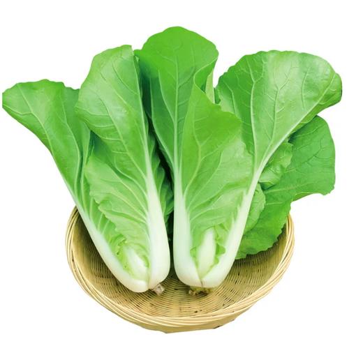 【YMHR】快菜 奶油小白菜 商品图0
