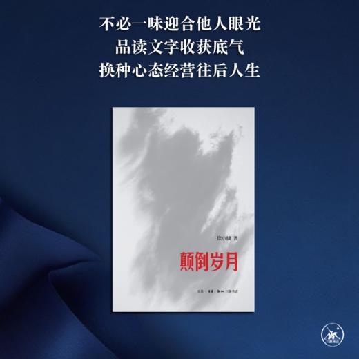 颠倒岁月 徐小棣 著 三联书店 商品图1