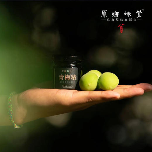 生态青梅精（基地直发—京东包邮） | 50g/罐，来自广东从化，生产者：原乡梅好合作社 商品图6