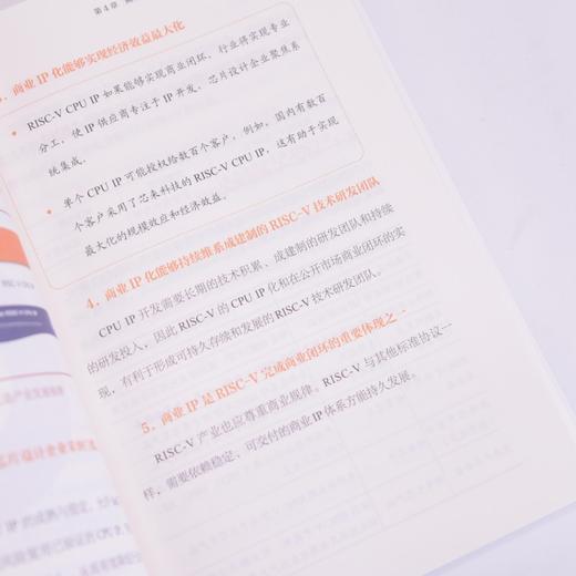 RISC-V商业思考 商品图3
