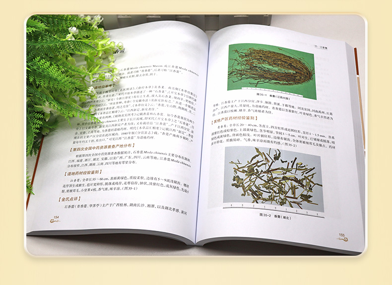 中医棕黄-1_05.jpg