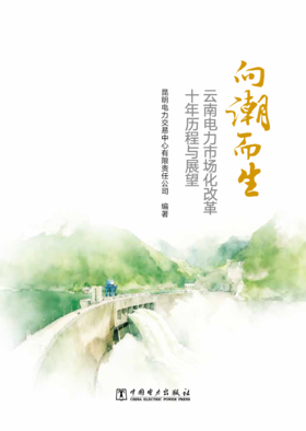 向潮而生  : 云南电力市场化改革十年历程与展望