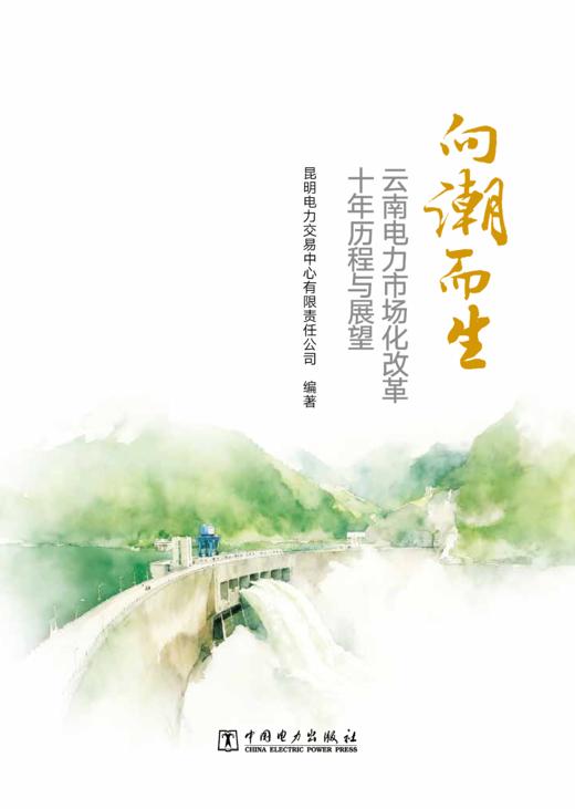 向潮而生  : 云南电力市场化改革十年历程与展望 商品图0
