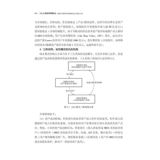 CLA 价值管理模式：从静态平衡到动态爆发的企业增长公式 商品图4