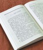 【绝版】《诗经论略》，精装，32开，许志刚著，辽宁大学出版社2023年一版二印，369页，定价25元，售价18元。 商品缩略图12