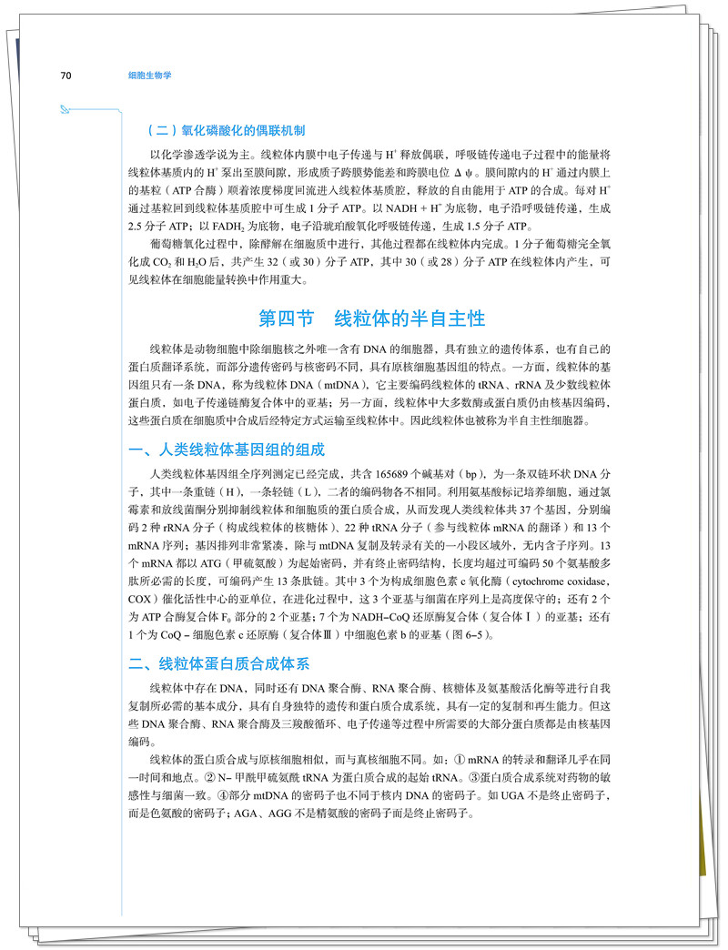 试读2.jpg