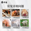 华畜多维速补猪牛羊鸡鸭鹅用补充营养促生长抗应激 商品缩略图1