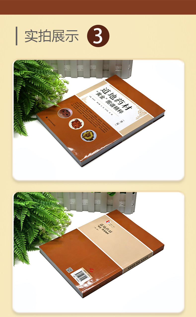 中医棕黄-1_04.jpg