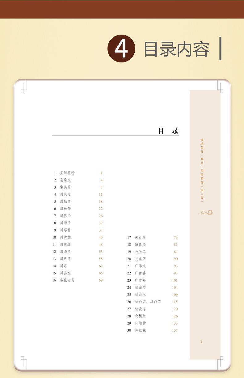 中医棕黄-1_06.jpg