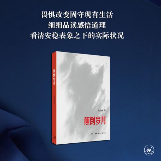 颠倒岁月 徐小棣 著 三联书店 商品图2