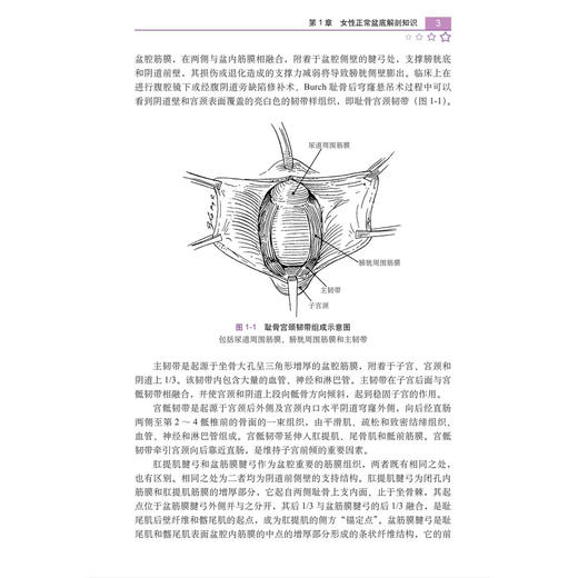 女性盆底超声解剖图谱 王忠民 叶萍 高珊 主编 适于妇科盆底 妇科肿瘤 超声影像科医师等阅读参考 9787030854513 科学出版社 商品图4