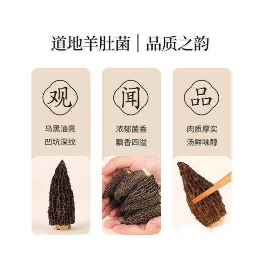 正安 四川头茬羊肚菌 头茬鲜货手工剪柄 乌黑油亮凹坑深纹 肉厚紧实 补充营养缓解疲劳 家庭煲汤好料 40g/罐 商品图10