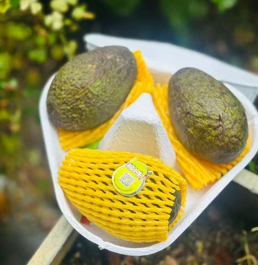 即食型牛油果无需漫长等待； 这一款是云南种植的牛油果；树上熟，收到就可以食用了～～ 商品图1