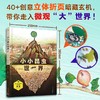 小小昆虫世界（精装·手工书） 商品缩略图0