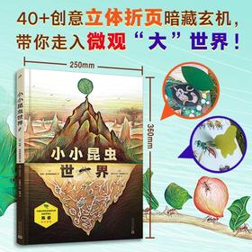 小小昆虫世界（精装·手工书）