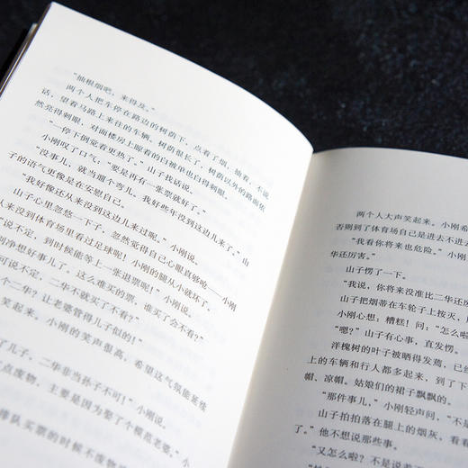我的遥远的清平湾（平装，感动千万读者的当代文学经典，在这个灵魂缺席的时代，读史铁生，是一种幸运，史铁生对生命的解读，对文学和自然的感悟，构成了真正的哲学）3000444 商品图3