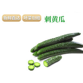 【SLSY】山东  密刺  小条黄瓜  新鲜蔬菜  新鲜采摘  生吃  生鲜刺黄瓜