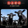 【优选原料】Hooorsh 澳洲谷饲安格斯牛肉丝 150g*4包/袋 免洗免切均匀切丝 商品缩略图2