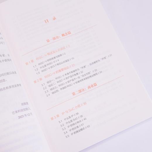 RISC-V商业思考 商品图2