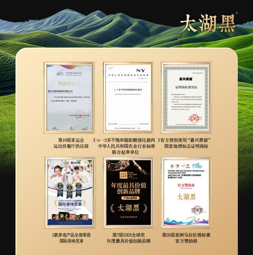 “21天短保鲜制粽” 首创五鲜标准太湖黑 鲜制礼粽 鲜香嫩润 不添防腐剂【ys】 商品图1