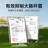 【Partita变奏曲-普象专享】316L不锈钢餐盒/304不锈钢叉勺 商品缩略图6