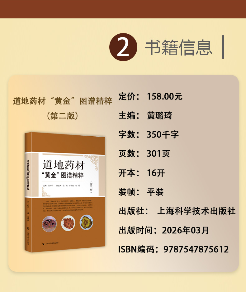 中医棕黄-1_03.jpg