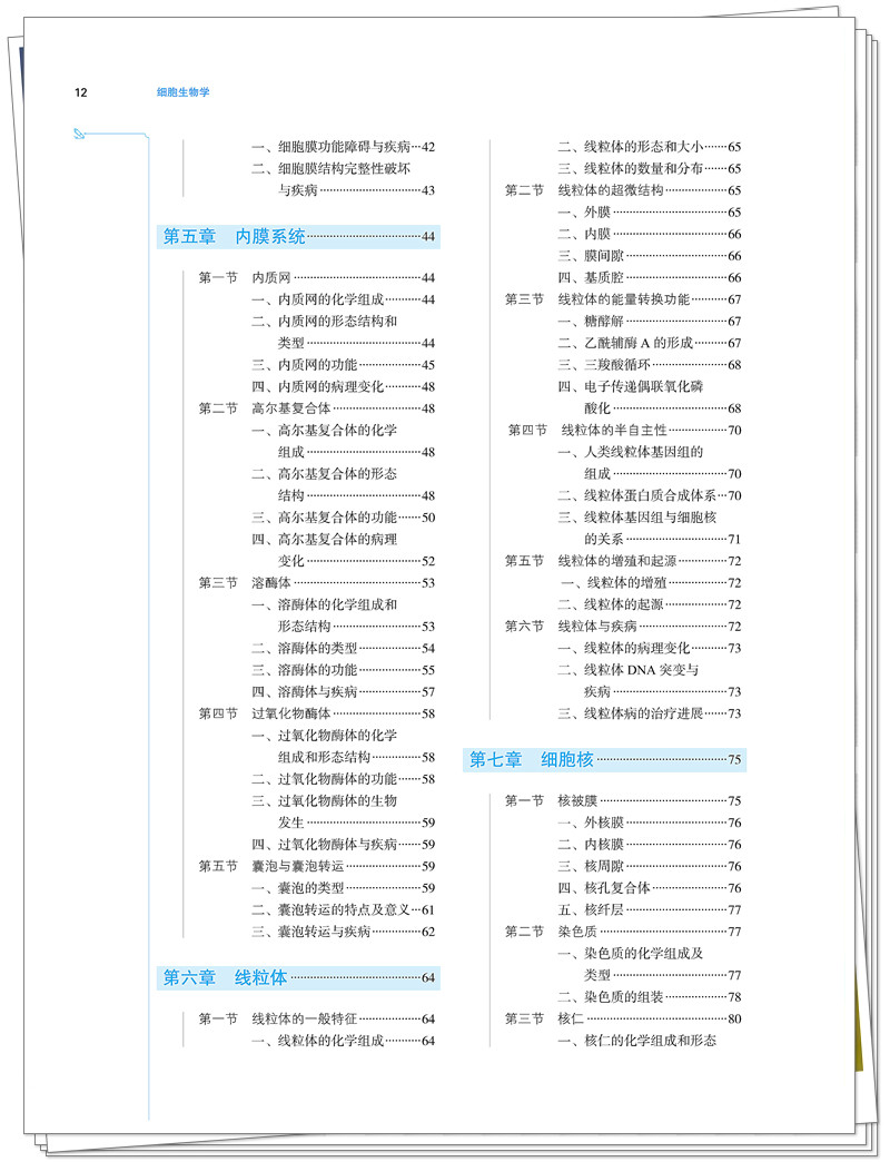 目录2.jpg