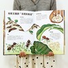 小小昆虫世界（精装·手工书） 商品缩略图2