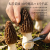 正安 四川头茬羊肚菌 头茬鲜货手工剪柄 乌黑油亮凹坑深纹 肉厚紧实 补充营养缓解疲劳 家庭煲汤好料 40g/罐 商品缩略图8