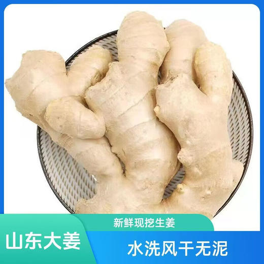 【SLSY】山东  新鲜  大姜 商品图1
