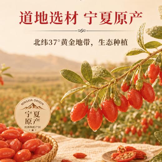 【宁夏医科大学联合研发 有机种植基地】营养食光·NFC低温冷榨有机枸杞原浆（30ml*10袋/盒） 商品图2