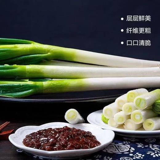 【SLSY】铁杆  大葱  新鲜  长白脆甜  蔬菜 商品图1