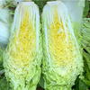 【YMHR】快菜 奶油小白菜 商品缩略图1