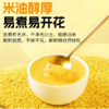 【YMHR】小米  粘糯黄小米 商品缩略图1