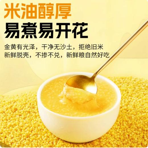 【YMHR】小米  粘糯黄小米 商品图1