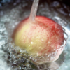 【晚湖景品种 顺丰发货】四川龙泉驿水蜜桃 | 中国水蜜桃之乡，皮薄肉嫩，汁水甘冽，更大更甜更粉嫩 商品缩略图4