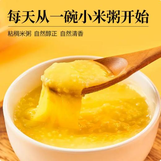 【YMHR】小米  粘糯黄小米 商品图2