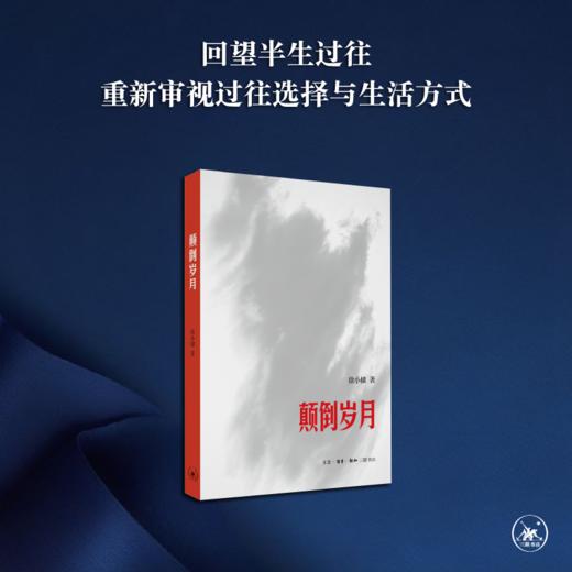 颠倒岁月 徐小棣 著 三联书店 商品图0