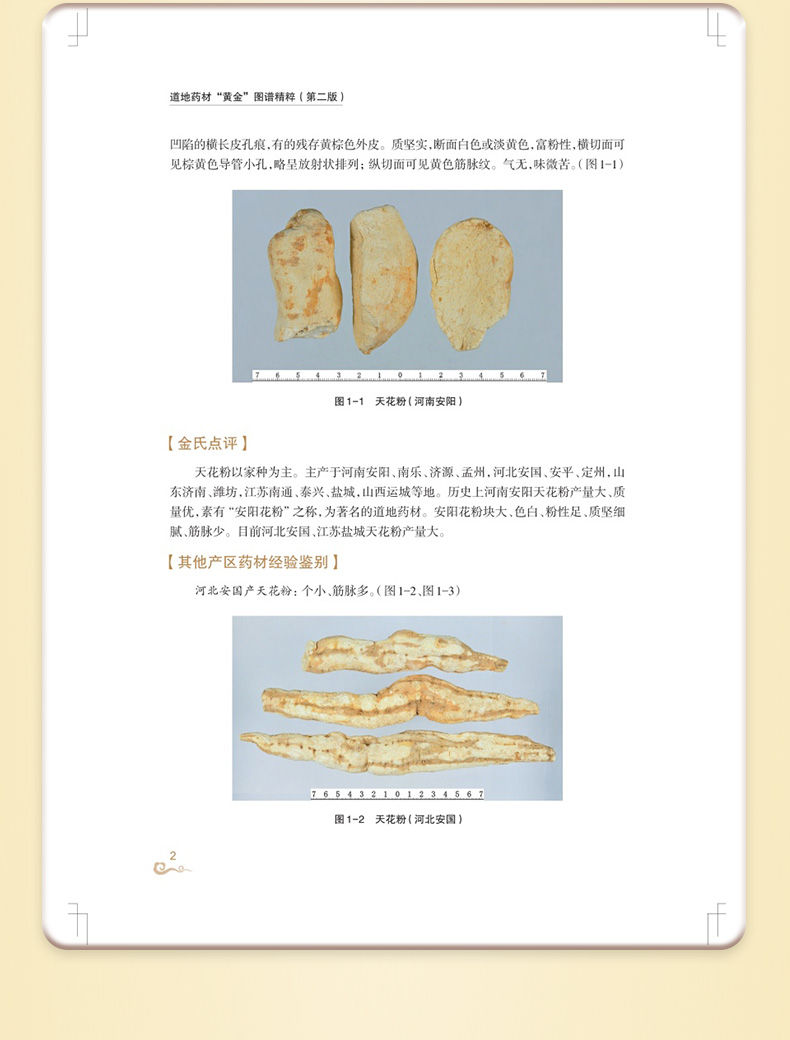 中医棕黄-1_09.jpg