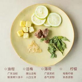 【酸甜清爽】配料干净 酸甜美味 | 话梅油柑薄荷茶 代用茶 花果茶饮 200g/袋(10包)
