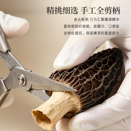正安 四川头茬羊肚菌 头茬鲜货手工剪柄 乌黑油亮凹坑深纹 肉厚紧实 补充营养缓解疲劳 家庭煲汤好料 40g/罐 商品图6