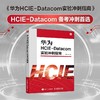 华为HCIE-Datacom实验冲刺指南 商品缩略图0