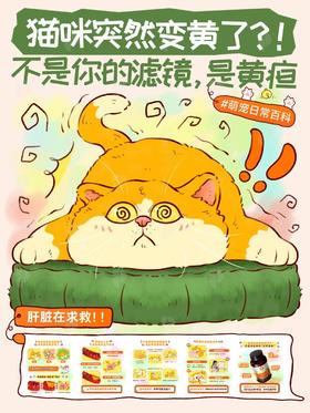 【普安特科普】🐱猫咪为什么突然变黄？原来是肝在求救！