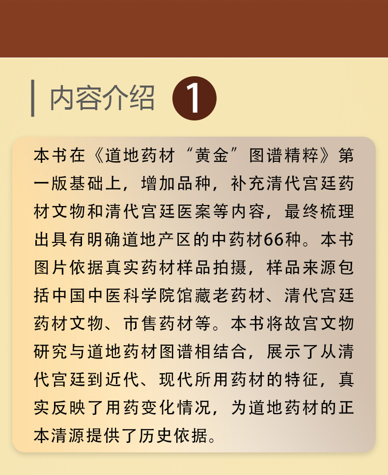 中医棕黄-1_02.jpg