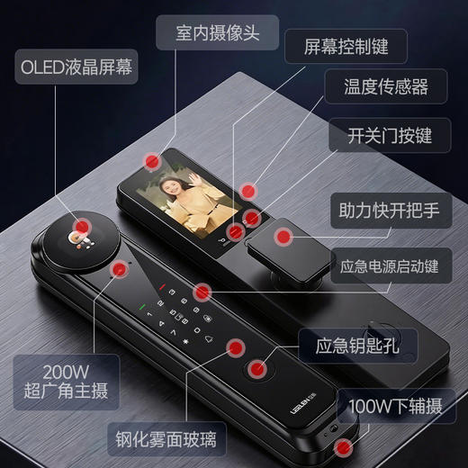【美居】立林指纹锁T17SMAX 商品图2