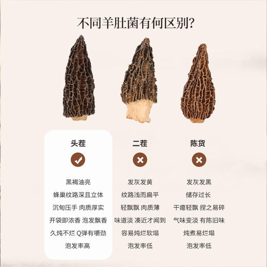 正安 四川头茬羊肚菌 头茬鲜货手工剪柄 乌黑油亮凹坑深纹 肉厚紧实 补充营养缓解疲劳 家庭煲汤好料 40g/罐 商品图5