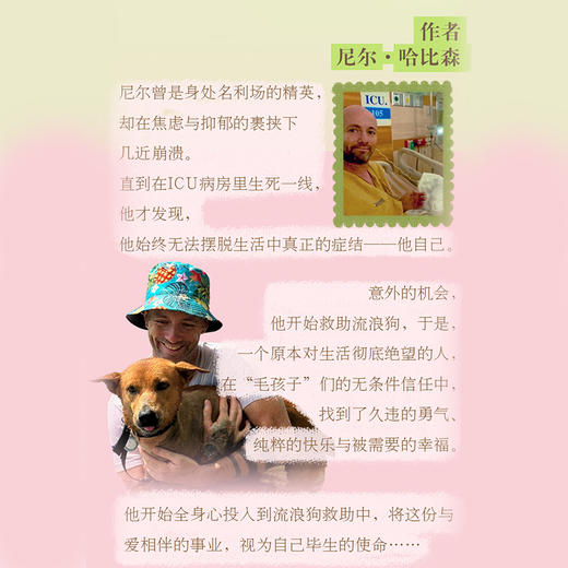 第二次生命:流浪狗救助手记 商品图2