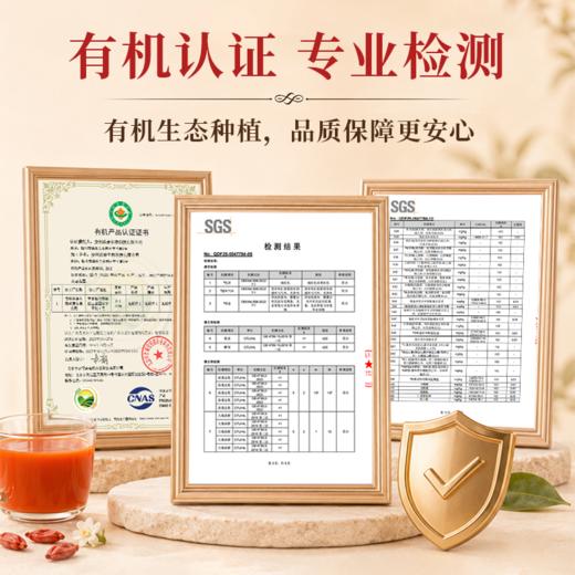 【宁夏医科大学联合研发 有机种植基地】营养食光·NFC低温冷榨有机枸杞原浆（30ml*10袋/盒） 商品图5