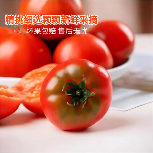 【SLSY】西红柿  山东  红宝石  高糖番茄 商品图3